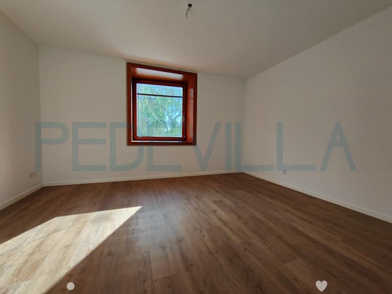 2502 Bienne: 2.5 pièces à proximité du parc de la ville (3)