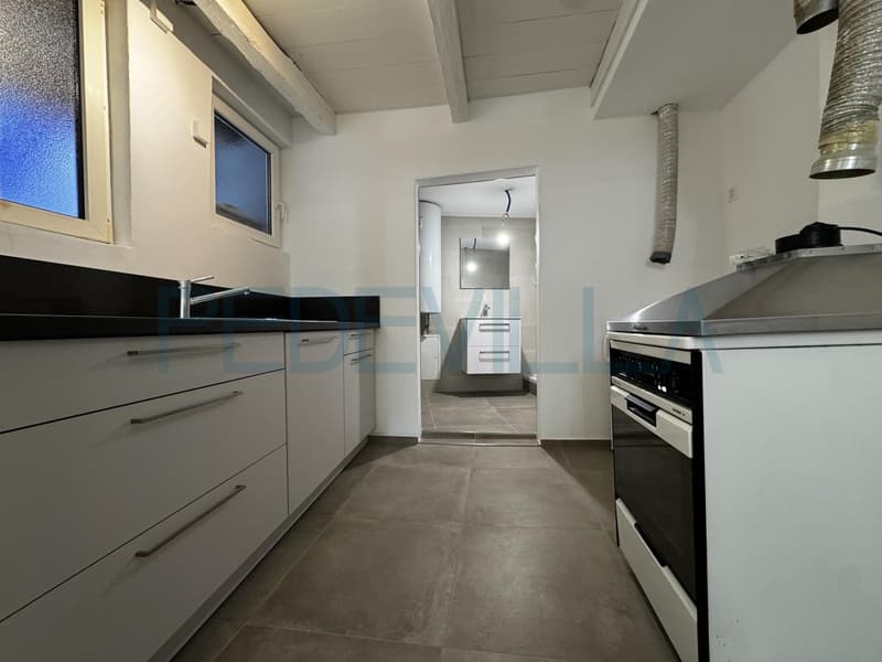 À louer ? Joli 1,5 pièce rénové avec mezzanine ? Un logement plein de charme (3)