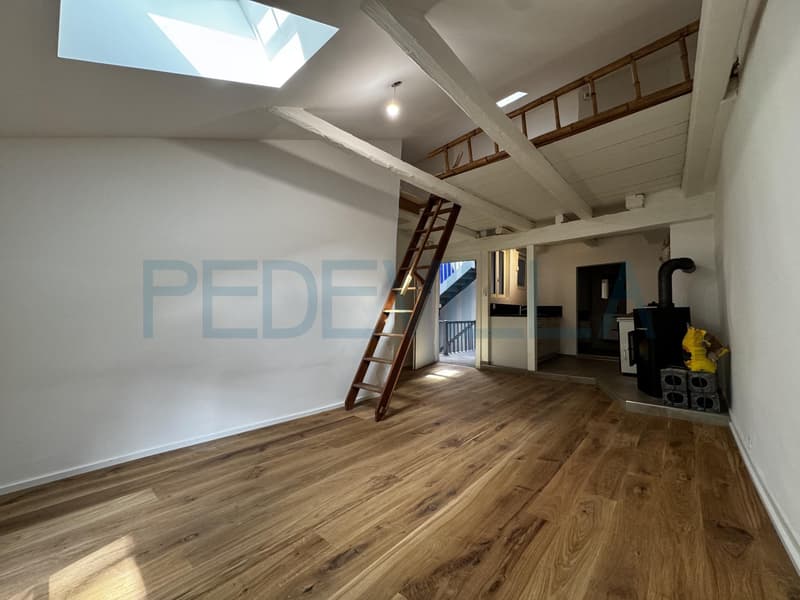 À louer ? Joli 1,5 pièce rénové avec mezzanine ? Un logement plein de charme (1)