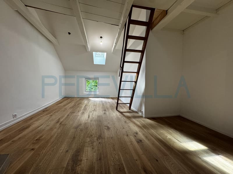 À louer ? Joli 1,5 pièce rénové avec mezzanine ? Un logement plein de charme (7)
