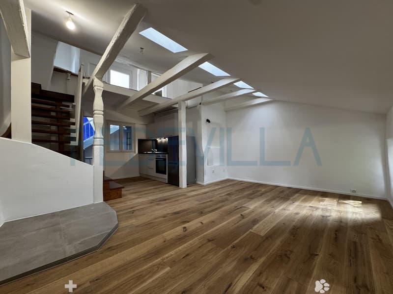 À louer ? Superbe 2 pièces en duplex entièrement rénové (4)