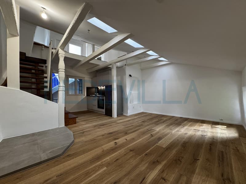 À louer ? Superbe 2 pièces en duplex entièrement rénové (4)