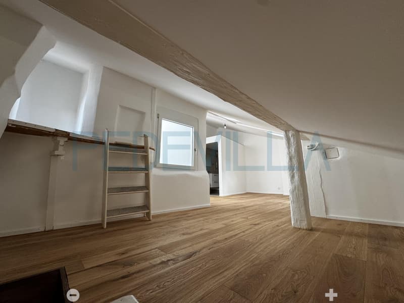 À louer ? Superbe 2 pièces en duplex entièrement rénové (5)