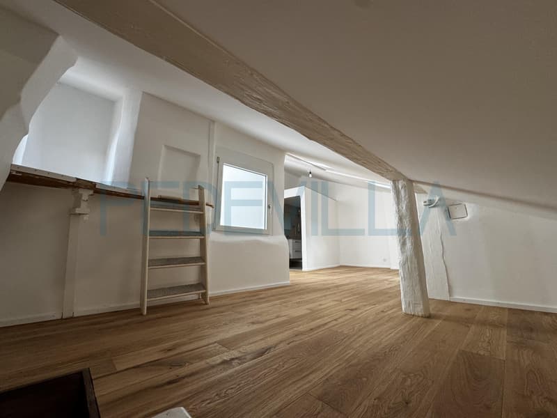 À louer ? Superbe 2 pièces en duplex entièrement rénové (5)