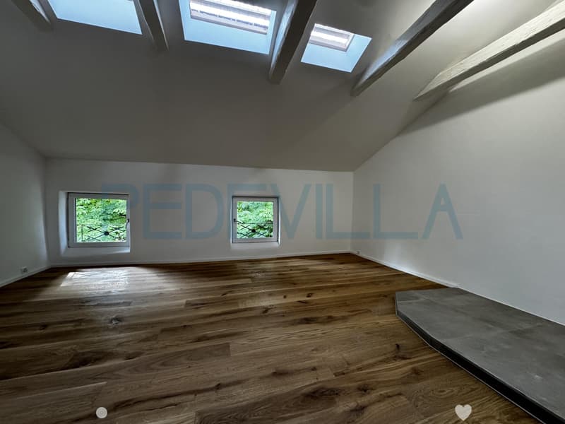À louer ? Superbe 2 pièces en duplex entièrement rénové (3)