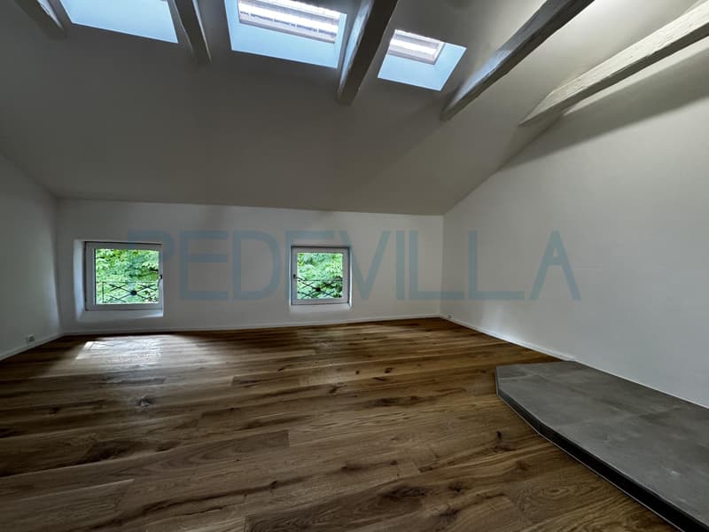 À louer ? Superbe 2 pièces en duplex entièrement rénové (3)