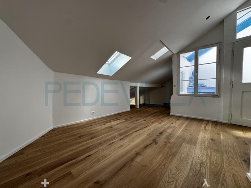 À louer ? Superbe 2 pièces en duplex entièrement rénové (7)