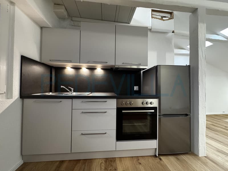 À louer ? Superbe 2 pièces en duplex entièrement rénové (2)