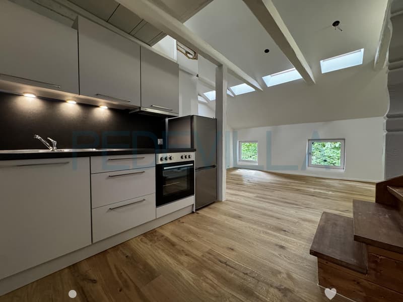À louer ? Superbe 2 pièces en duplex entièrement rénové (1)