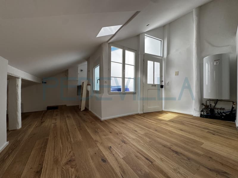 À louer ? Superbe 2 pièces en duplex entièrement rénové (8)