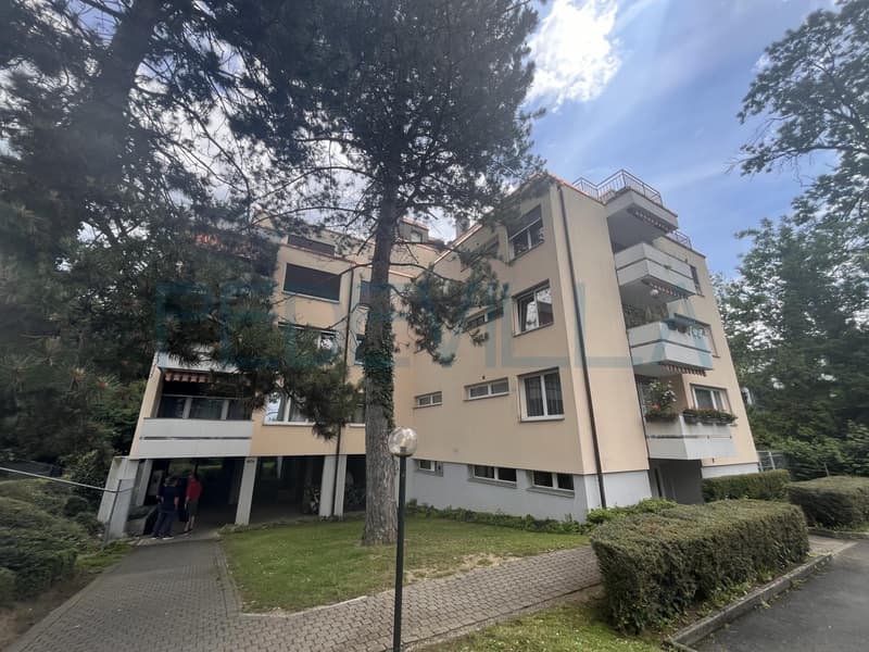 À louer - Bel appartement 4.5 pièces avec balcon et cheminée à Bienne (1)