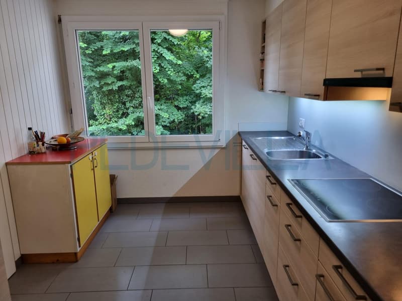 À louer - Bel appartement 4.5 pièces avec balcon et cheminée à Bienne (4)