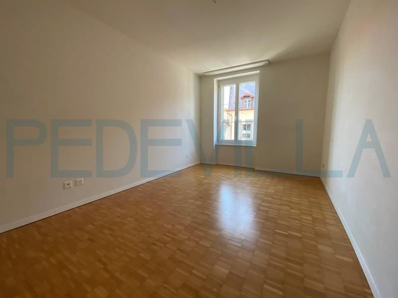 À louer - charmant appartement de 3 pièces au rez-de-chaussée (4)