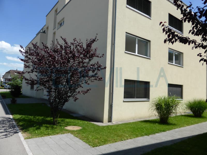 2557 Studen: Local de bricolage (1)