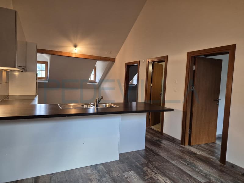 Charmant appartement de 3.5 pièces (3)