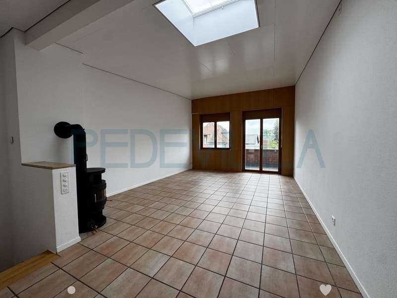 3.5 Duplexwohnung nähe Stadtpark (1)
