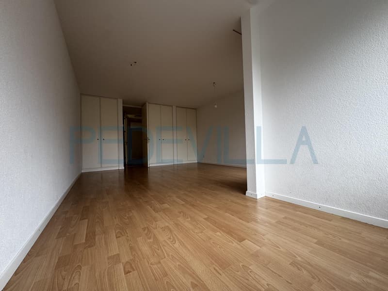 3.5 Duplexwohnung nähe Stadtpark (9)