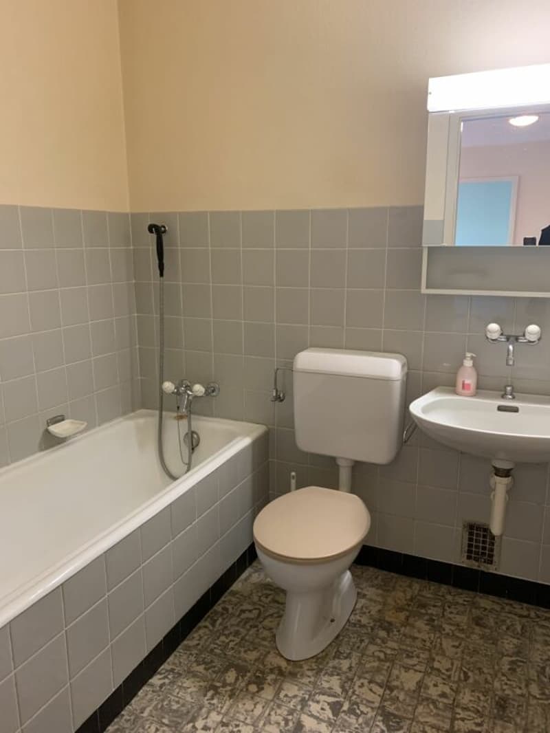 Appartement de 2 pièces dans un joli cadre de verdure (8)