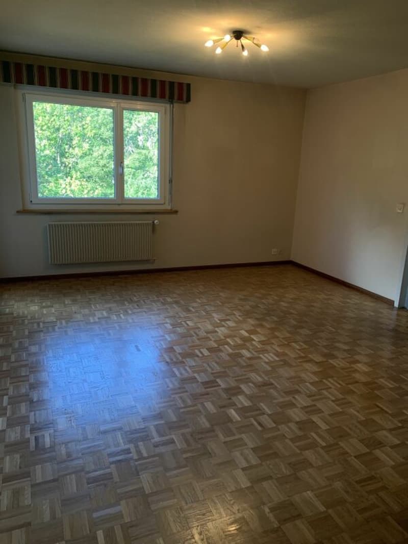 Appartement de 2 pièces dans un joli cadre de verdure (4)