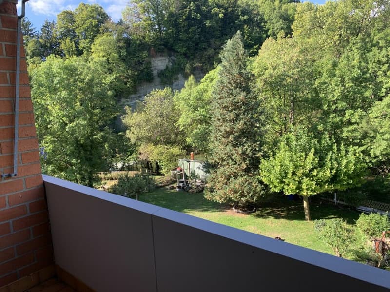 Appartement de 2 pièces dans un joli cadre de verdure (2)