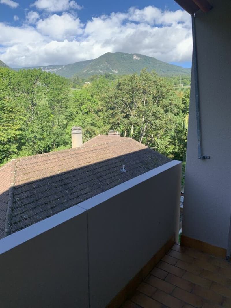Appartement de 2 pièces dans un joli cadre de verdure (3)