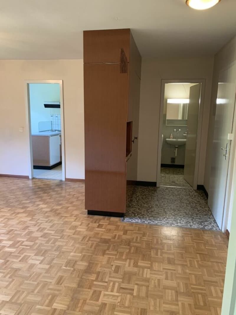 Appartement de 2 pièces dans un joli cadre de verdure (6)