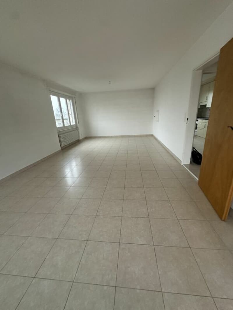 A louer un joli appartement de 4,5 pièces avec un balcon, dans un quartier calme (3)