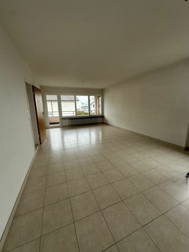 A louer un joli appartement de 4,5 pièces avec un balcon, dans un quartier calme (2)