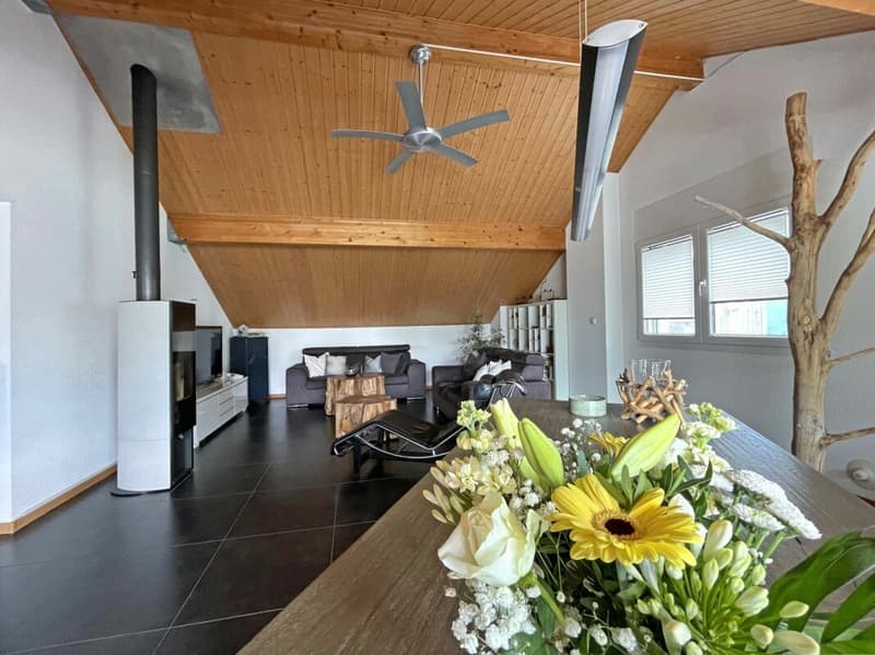 Appartement duplex en attique de 5,5 pièces dans un écrin de verdure (5)