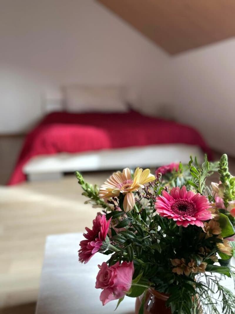 Appartement duplex en attique de 5,5 pièces dans un écrin de verdure (12)