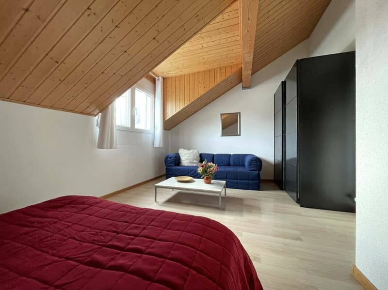 Appartement duplex en attique de 5,5 pièces dans un écrin de verdure (13)