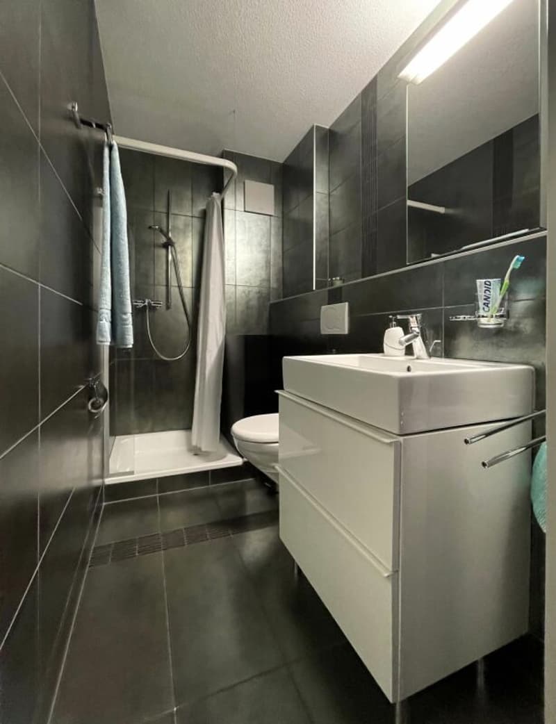 Appartement duplex en attique de 5,5 pièces dans un écrin de verdure (17)