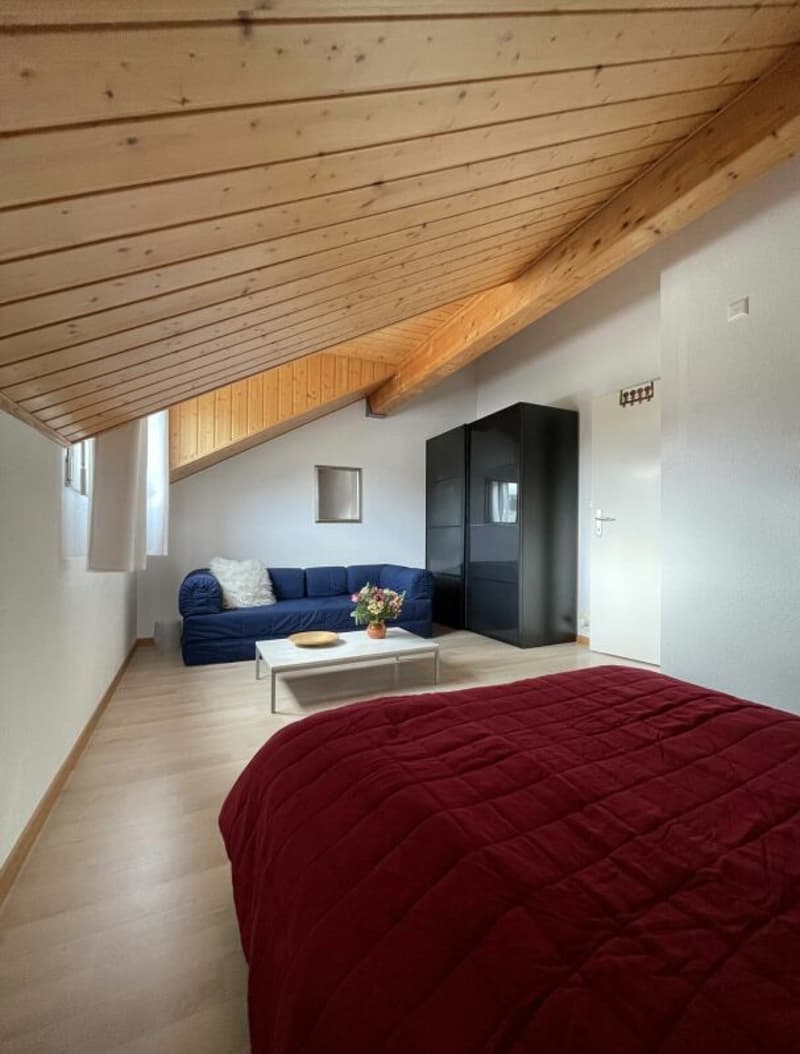 Appartement duplex en attique de 5,5 pièces dans un écrin de verdure (11)