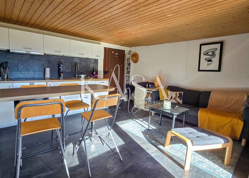 Séjour au rez-inférieur