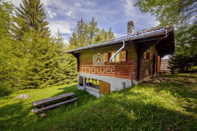 Chalet chaleureux à La Tzoumaz, nature et tranquillité ! (12)