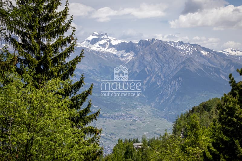 Chalet chaleureux à La Tzoumaz, nature et tranquillité ! (10)