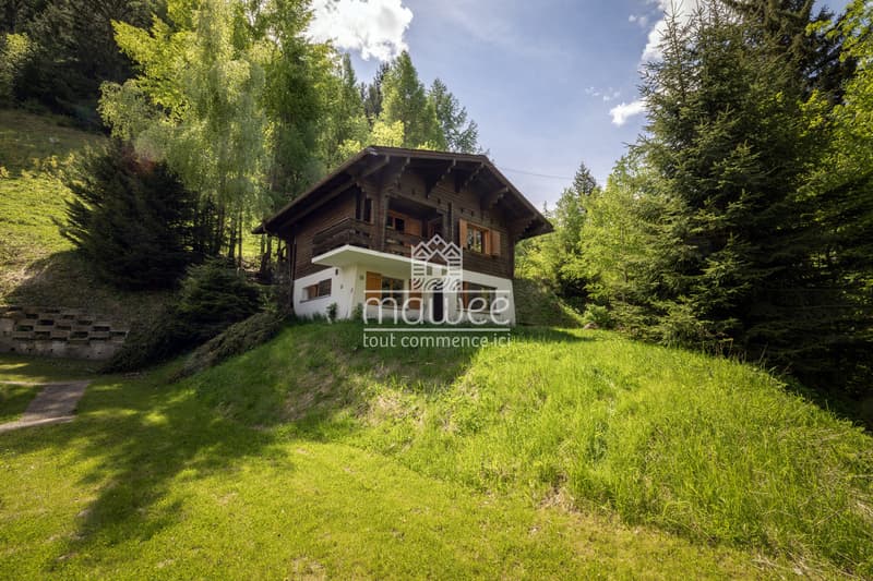 Chalet chaleureux à La Tzoumaz, nature et tranquillité ! (11)