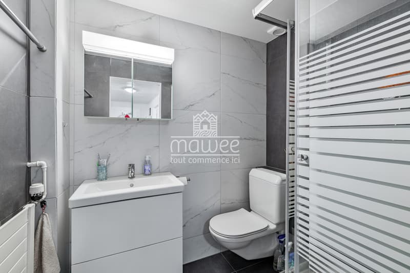 Appartement de 2,5 pièces avec une exceptionnel terrasse panoramique ! (10)