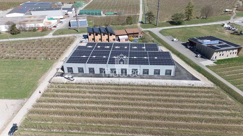 Box de 130 m2 à Saxon (4)