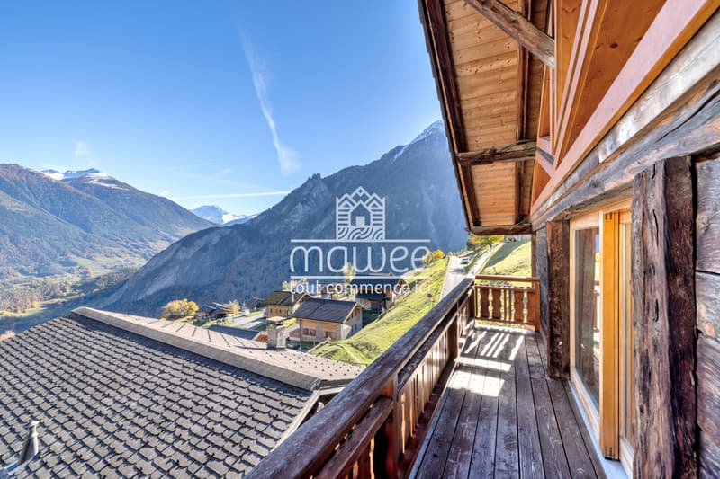 Opportunité rare - chalet avec studio en résidence secondaire ! (4)