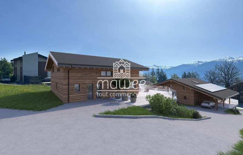 Magnifique 5,5 pièces en duplex de 190 m² (3)