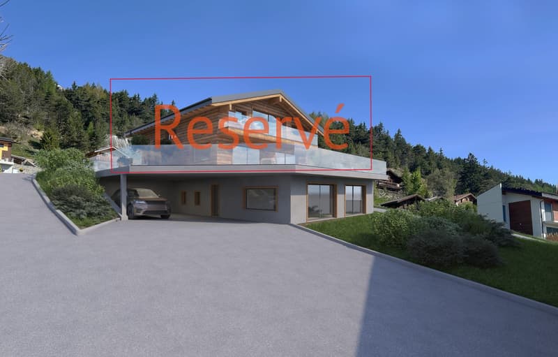 Magnifique 5,5 pièces en duplex de 190 m² (1)