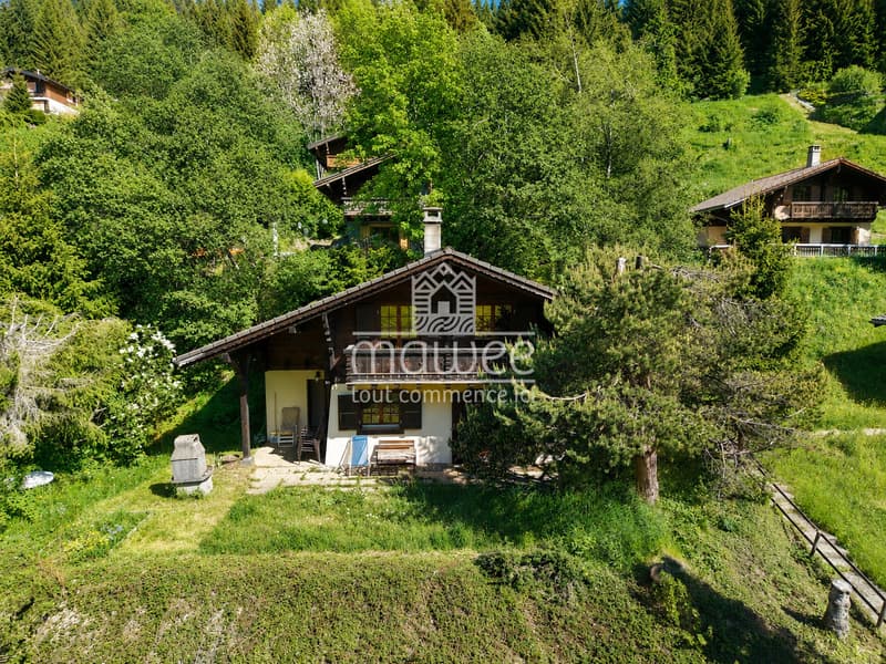 Charmant chalet de 4.5 pièces, idéal en résidence secondaire. (1)