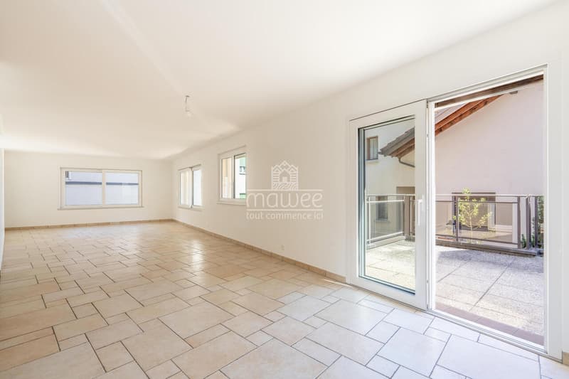 Appartement rénové en 2026 avec grande terrasse dans un petit immeuble (4)