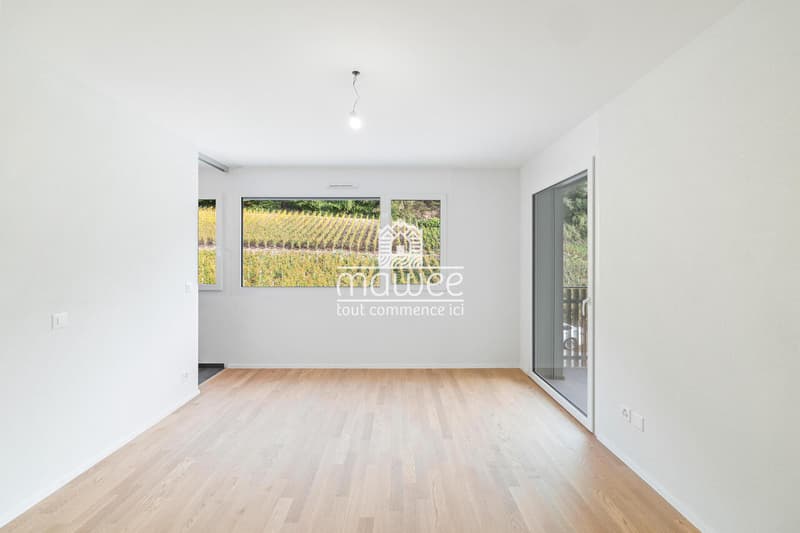 4.5 pièces neuf - Intimité, terrasse et jardin ! (11)