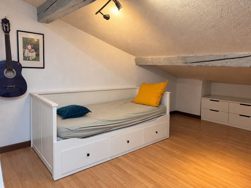 En France Immeuble Parfait Investisseur avec vue sur le lac Léman (10)