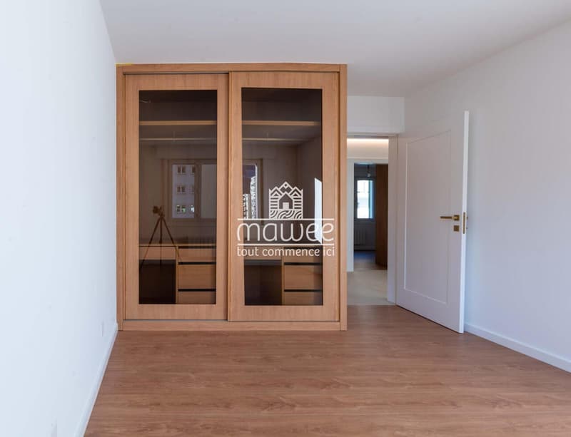 Magnifique appartement entièrement rénové aux finitions haut standing (10)