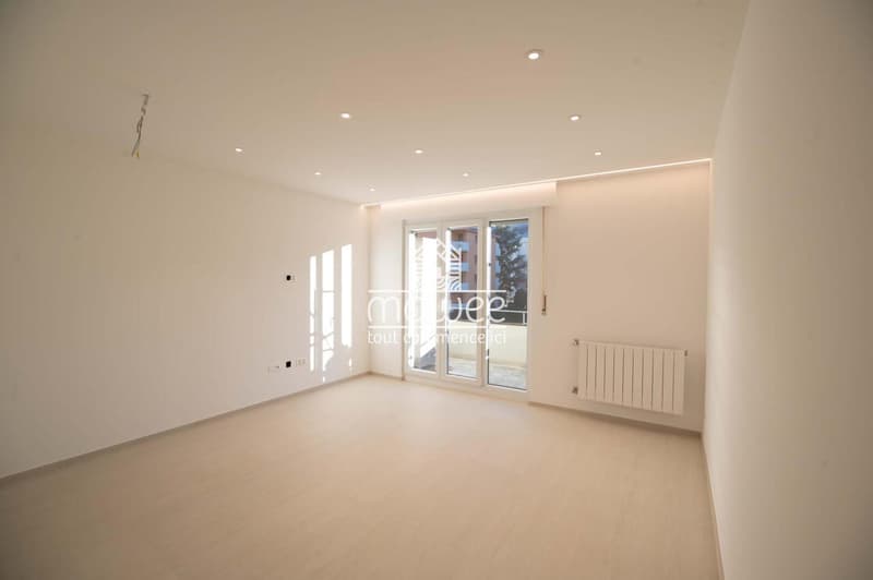 Magnifique appartement entièrement rénové aux finitions haut standing (6)