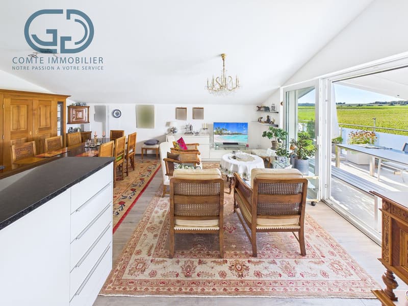 Superbe appartement en attique de 5.5 pièces avec grande terrasse (4)