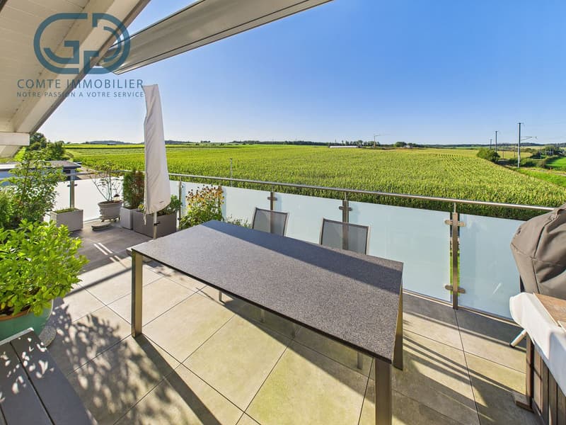 Superbe appartement en attique de 5.5 pièces avec grande terrasse (1)